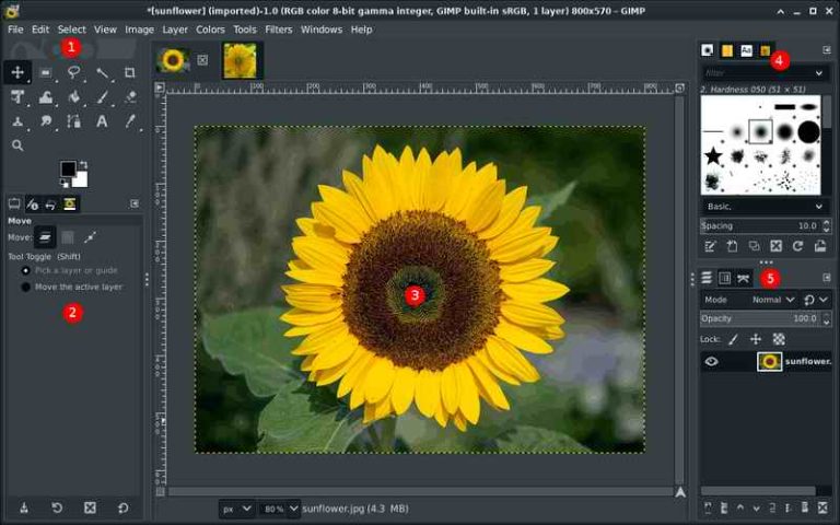 GIMP 21022